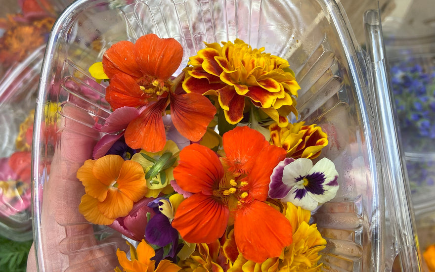 À la rencontre de notre producteur de fleurs comestibles : Wesh Grow !